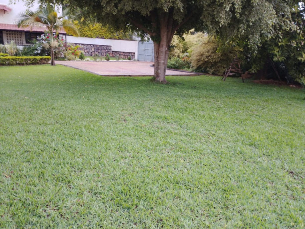 house-for-rent-in-kibagabaga-big-14