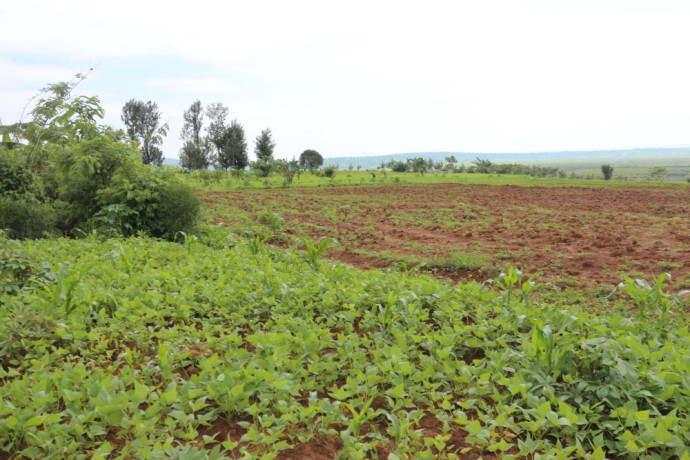 agriculture-land-for-sale-in-bugesera-gashora-rwanda-access-on-water-big-0