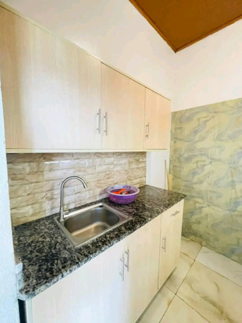 kibagabaga-fully-furnished-1bedroom-apartment-for-rent-at-350k-in-good-location-big-4