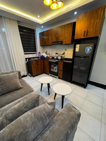 gishushu-1-bedroom-1-bath-furnished-apartment-for-rent-in-kigali-big-5