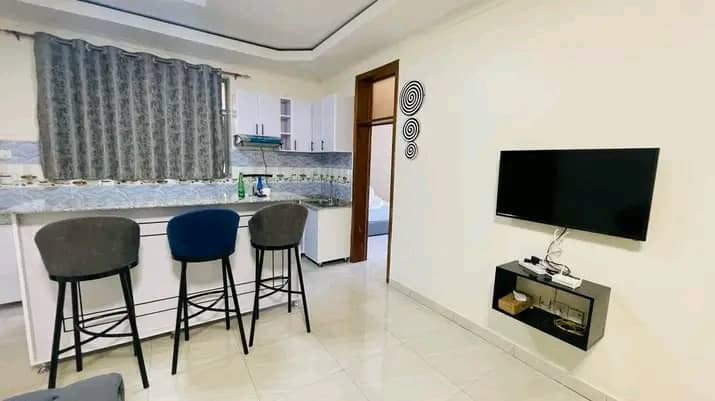 remera-near-kisimenti-2-bed-2-bath-furnished-apartment-for-rent-big-5