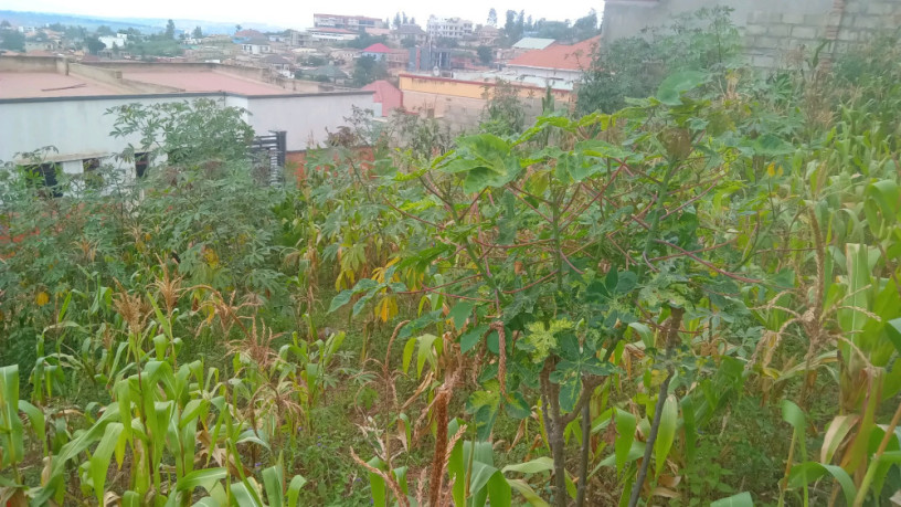 kigali-land-for-sale-in-gisozi-big-9
