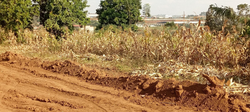ikibanza-kigurishwa-rusororo-big-4