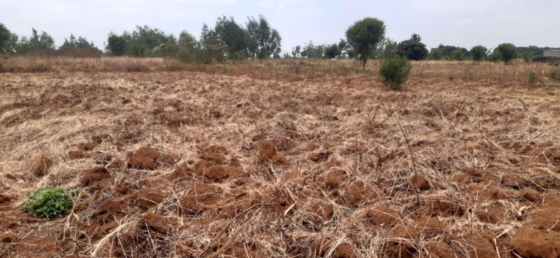 residential-land-for-sale-in-gashora-bugesera-rwanda-view-of-lake-big-0