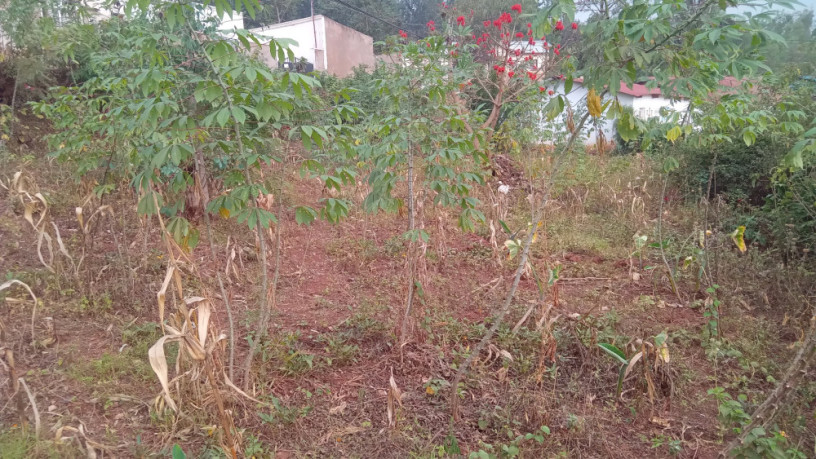 kigali-land-for-sale-in-rebero-facing-nyamirambo-side-big-1