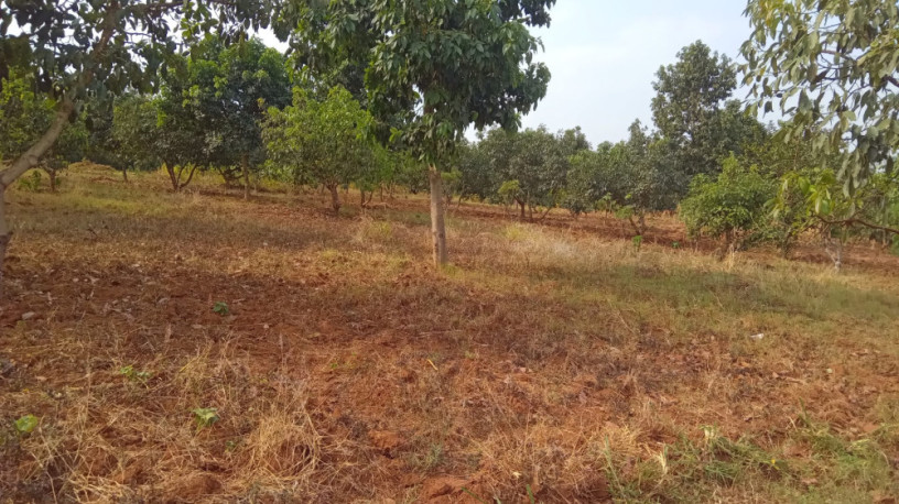 plot-for-sale-in-ndera-on-auctioncyamunara-big-5