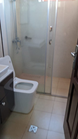 bb-021-kibagabaga-very-nice-fully-furnished-apartment-for-rent-big-3