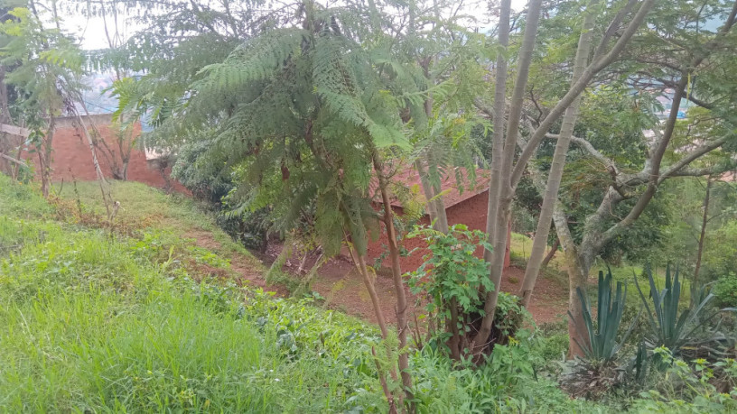 kigali-land-for-sale-in-nyamirambo-mumena-big-7