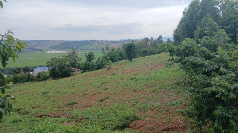 jabana-plot-for-sale-big-8