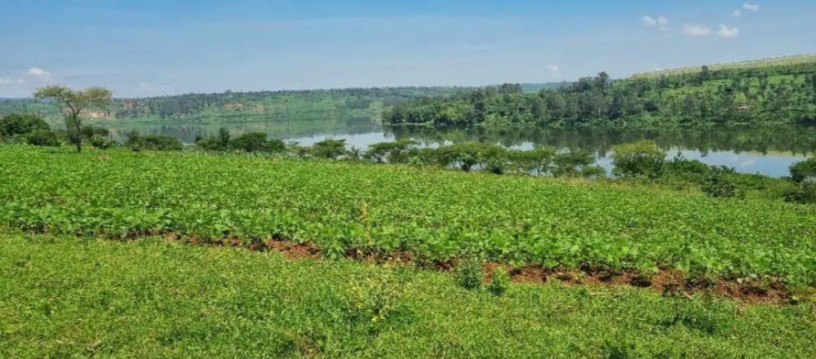 land-for-sale-at-muhazi-rwamagana-big-3
