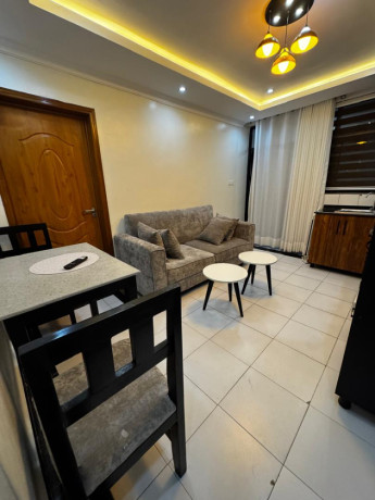 gishushu-1bed-1bath-furnished-apartment-for-rent-in-kigali-big-5