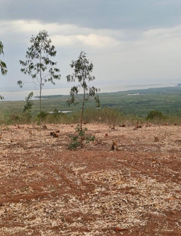 bugesera-plots-for-sale-in-kanzenze-big-3