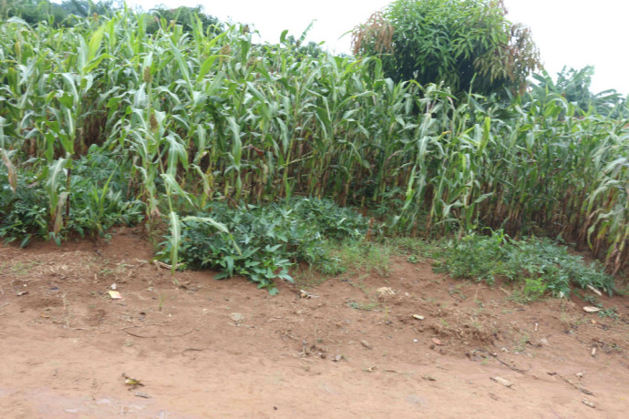 residential-plot-for-sale-in-bugesera-near-airport-hot-deal-big-2