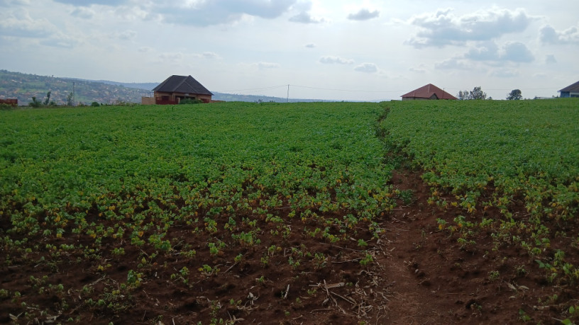 kigali-rusororo-plot-for-sale-big-2