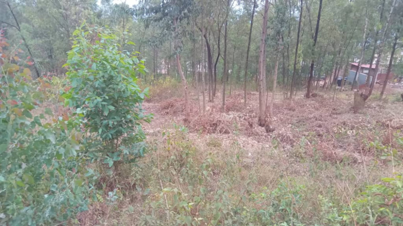 kigali-land-for-sale-in-rebero-big-1