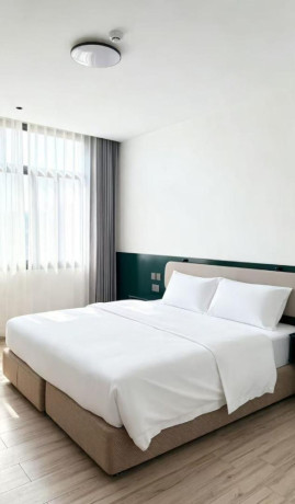 remera-kisimenti-fully-furnished-2bedrooms-apartment-for-rent-at-1200-in-good-location-big-6