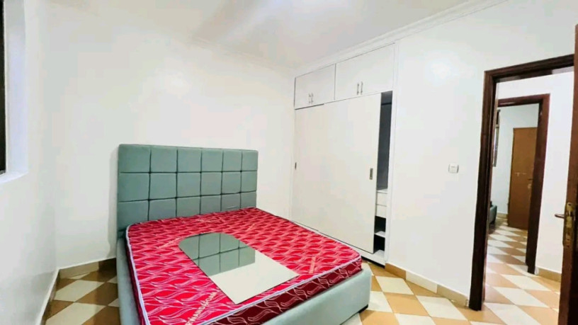nyarutarama-near-mtn-furnished-apartment-for-rent-big-2