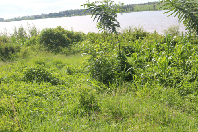 land-for-sale-in-bugesera-near-airport-access-on-lake-big-1