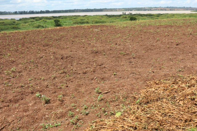 plot-for-sale-in-bugesera-near-airport-hot-deal-big-1