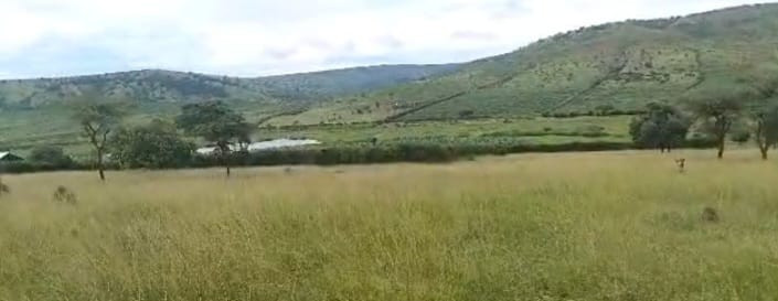 land-agricultural-for-sale-at-kayonza-big-3