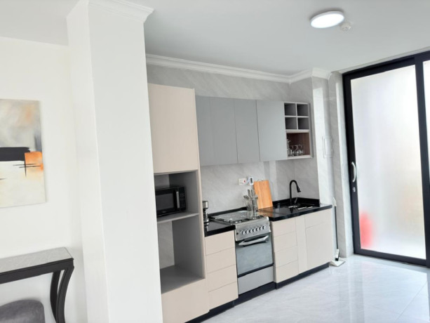 kimihurura-nice-furnished-apartment-for-rent-in-kigali-big-8