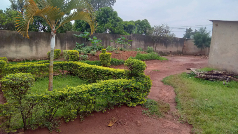 kigali-land-for-sale-in-rebero-big-3
