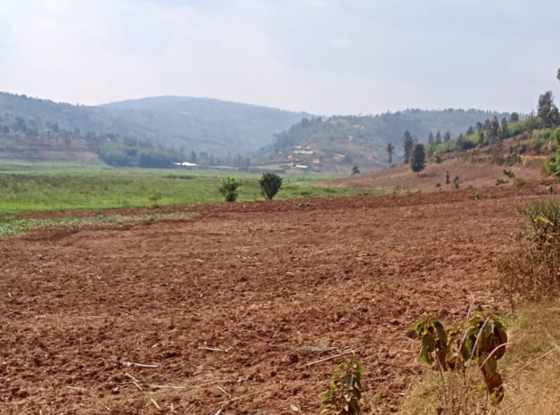 agricultural-land-for-sale-at-gatsibo-big-1