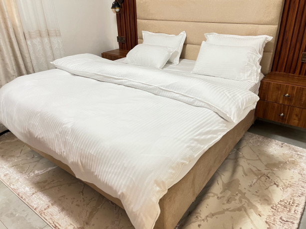 gacuriro-furnished-apartment-for-rent-in-kigali-big-3