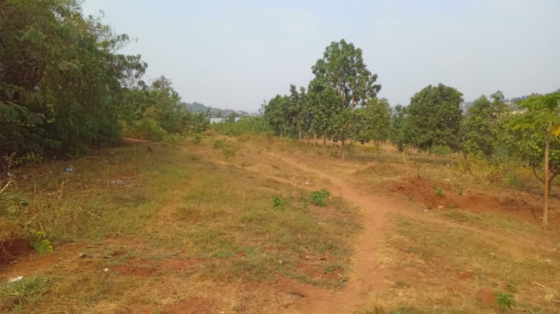 plot-for-sale-in-ndera-on-auctioncyamunara-big-10