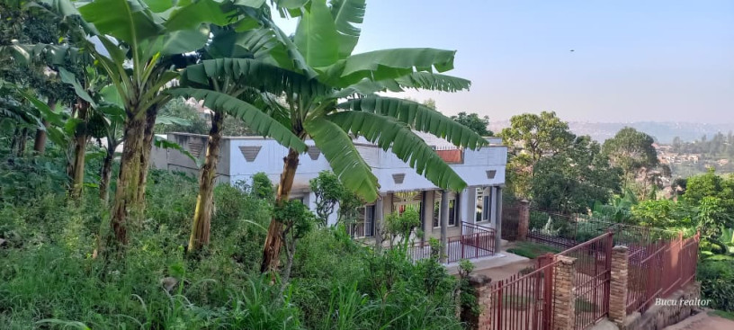 plot-for-sale-in-gisasa-atagood-place-big-3