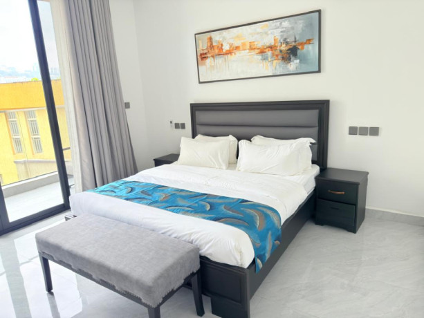 kimihurura-nice-furnished-apartment-for-rent-in-kigali-big-9