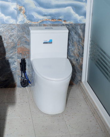 tb008-kibagabaga-kibagabaga-very-big-and-beautiful-house-for-sale-big-9