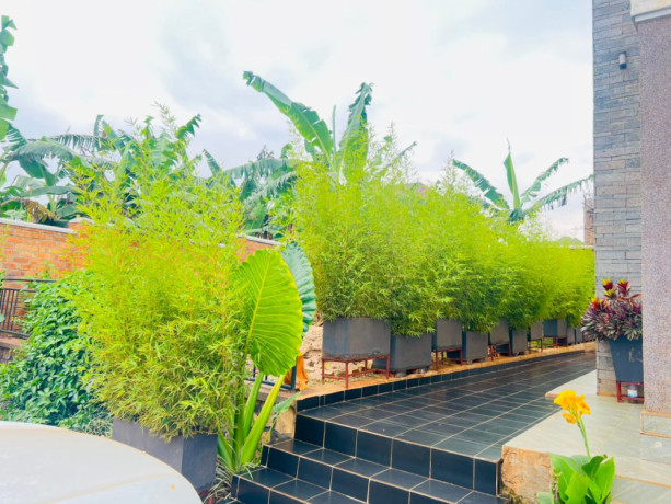 kigali-fully-furnished-house-for-rent-in-gasogi-big-3