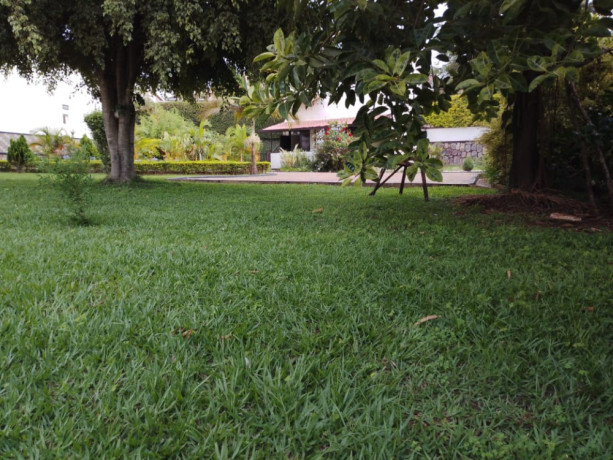 house-for-rent-in-kibagabaga-big-1