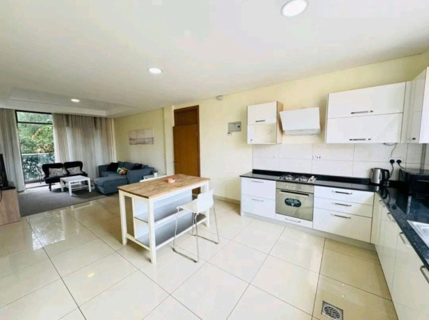 kibagabaga-nice-furnished-apartment-for-rent-in-kigali-big-6