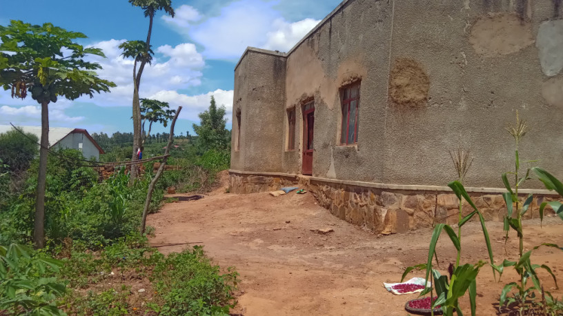 large-plot-for-sale-in-bugesera-big-5