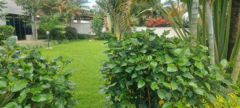 office-house-available-for-rent-at-kimihurura-big-5