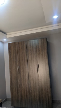 30-sonatube-very-nice-new-full-furnished-apartment-for-rent-big-11