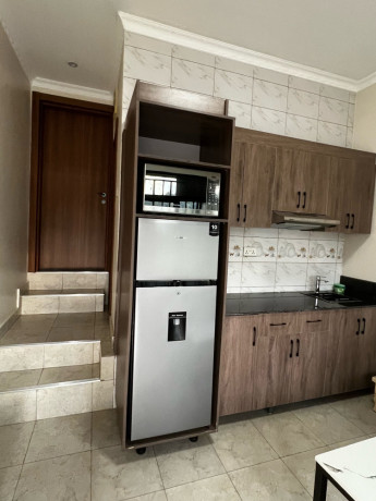 fully-furnished-apartment-for-rent-in-kimihurura-kigali-big-4