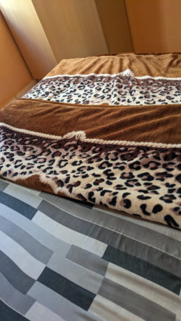 bb020-kibagabaga-cheapest-furnished-apartment-for-rent-big-6