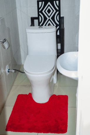 db-184b-gacuriro-gacuriro-well-furnished-house-for-rent-with-shared-swimming-pool-in-kigali-rwanda-big-10