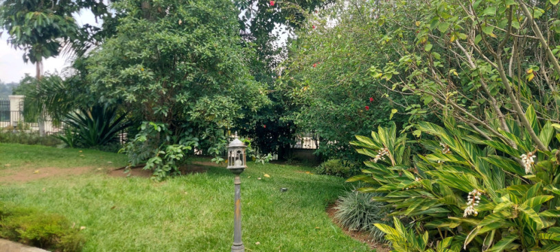 kigali-pool-house-available-for-rent-kacyiru-near-american-ambassador-residence-big-5