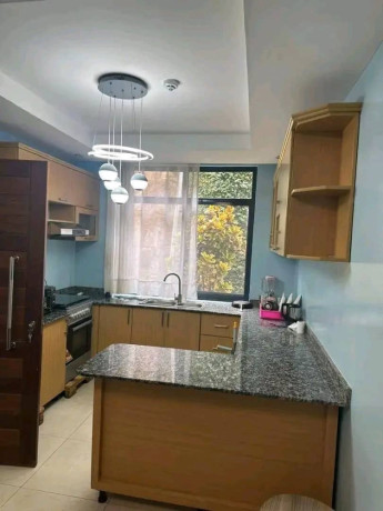 gacuriro-furnished-apartment-for-rent-in-kigali-big-6