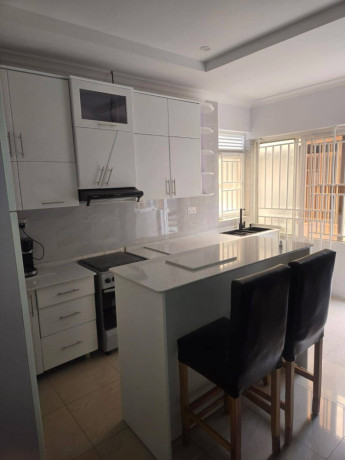kigali-fully-furnished-house-for-rent-in-kimironko-big-1