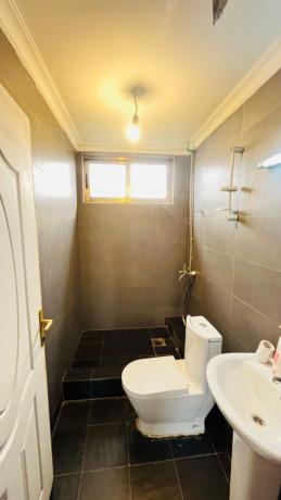 kibagabaga-semi-furnished-apartment-for-rent-in-kigali-big-5