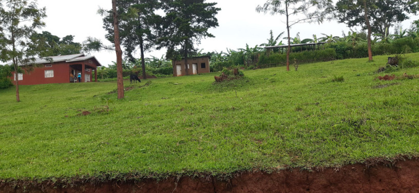 land-for-rent-in-muhazi-lake-access-on-lake-big-4
