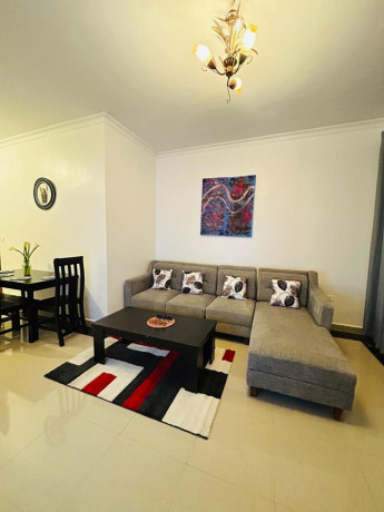 23-gacuriro-very-nice-well-furnished-apartment-for-rent-big-13