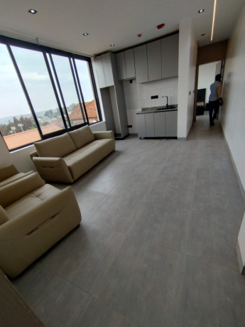 this-is-beautiful-fully-furnished-apartments-for-rent-in-kimironko-big-13