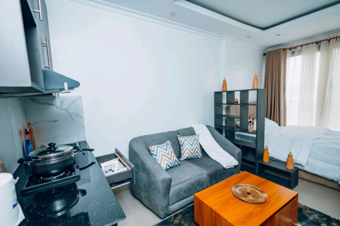 kigali-fully-furnished-modern-luxury-one-bedroom-apartment-for-rent-in-nyarutarama-big-0