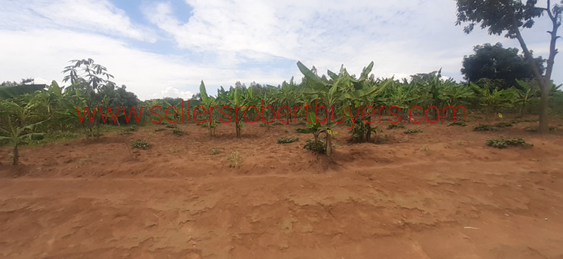 residential-land-for-sale-in-bugesera-near-airport-of-rwanda-big-2